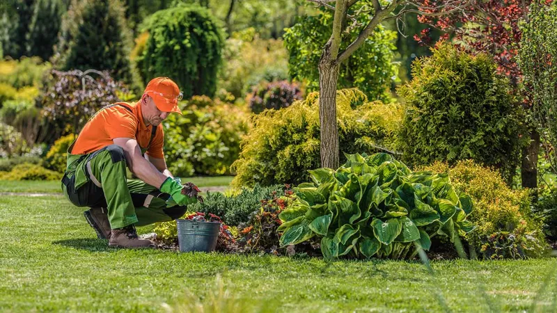 1. Du väljer första bästa företag